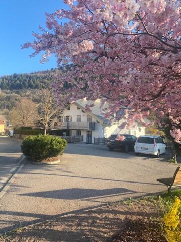 Ferienwohnung Casa Fam.Barbolini Teser im Fleimtal Exterior foto